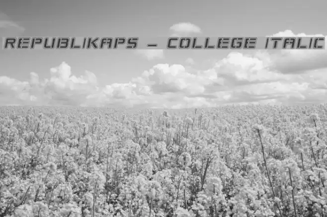 Republikaps - College Italic Font examples
