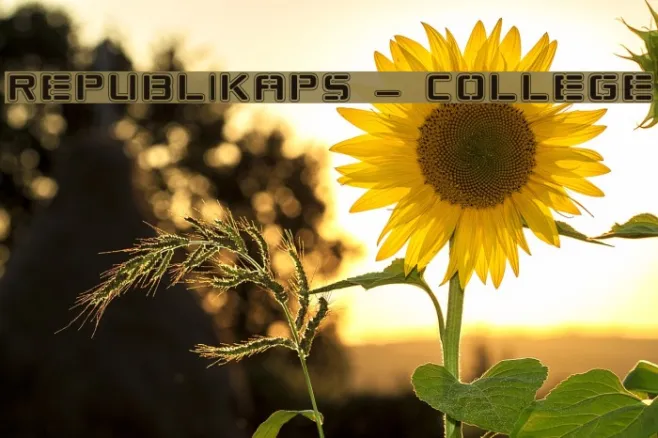Republikaps - College Example 1