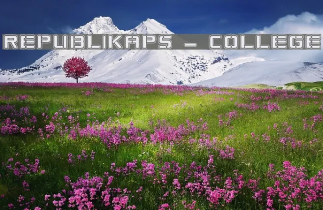 Republikaps - College Example 2
