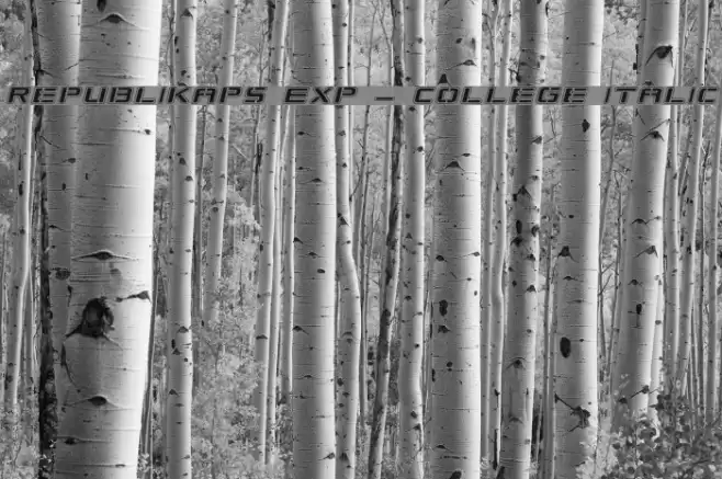 Republikaps Exp - College Italic Font examples