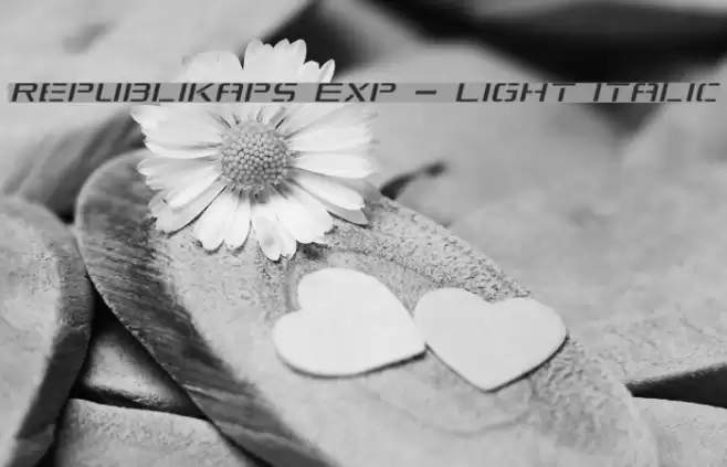 Republikaps Exp - Light Italic examples