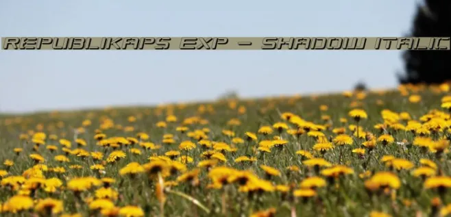 Republikaps Exp - Shadow Italic Example 1