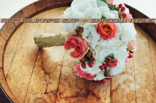 Republikaps Exp - Shadow Italic Example 2