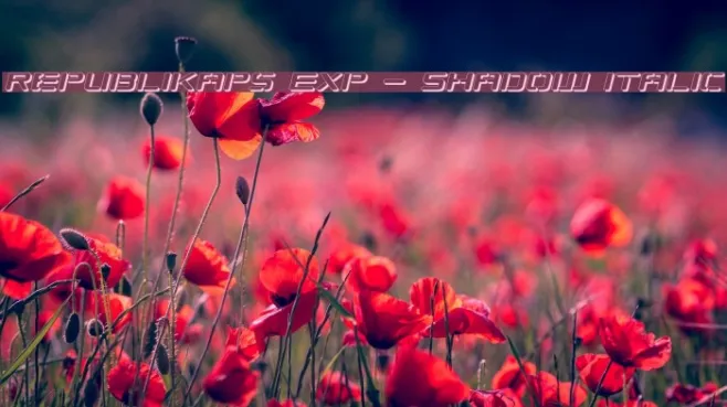 Republikaps Exp - Shadow Italic Example 3