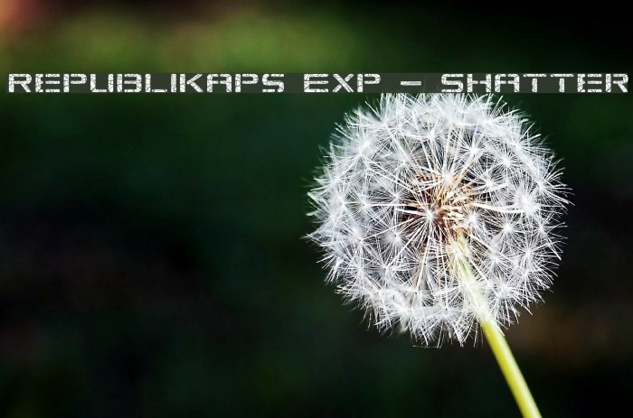 Republikaps Exp - Shatter Font examples