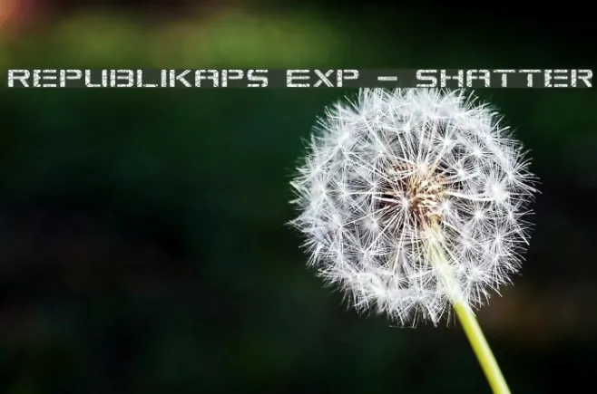 Republikaps Exp - Shatter Example 3