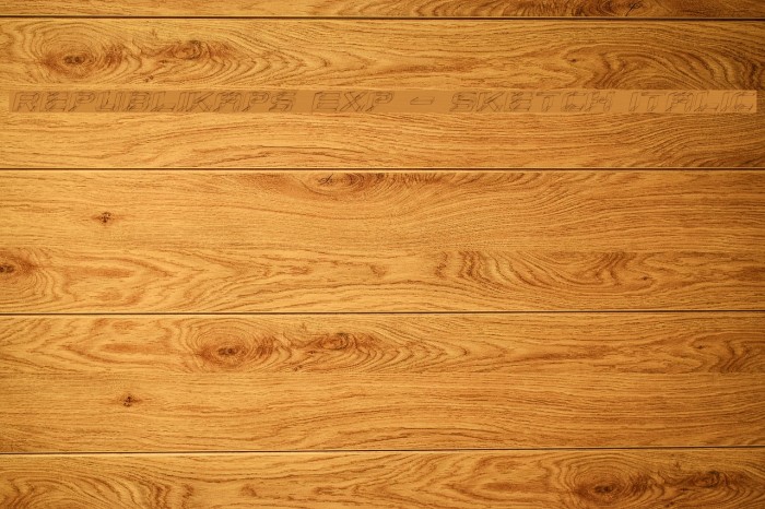 Republikaps Exp - Sketch Italic Example 1