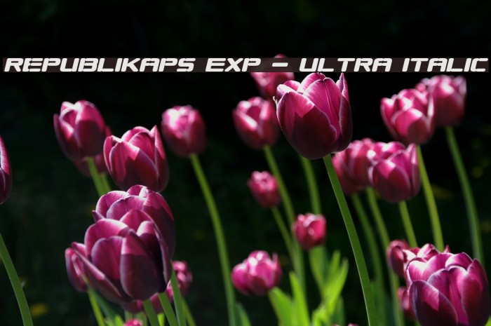 Republikaps Exp - Ultra Italic Font examples
