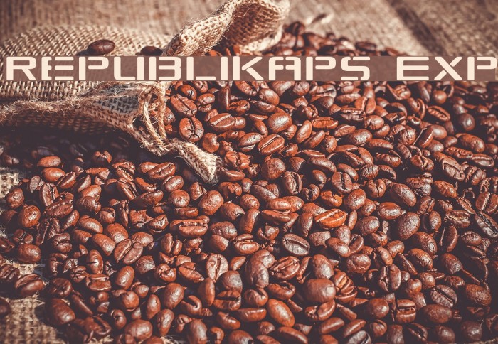 Republikaps Exp Schriftart examples