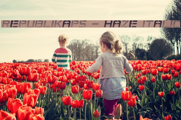 Republikaps - Haze Italic Font examples
