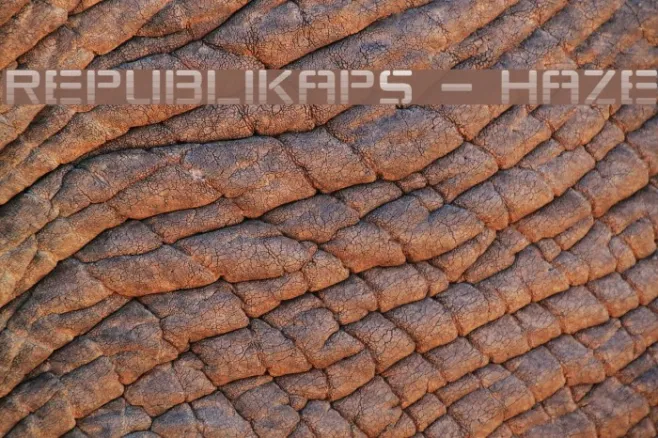 Republikaps - Haze Example 1