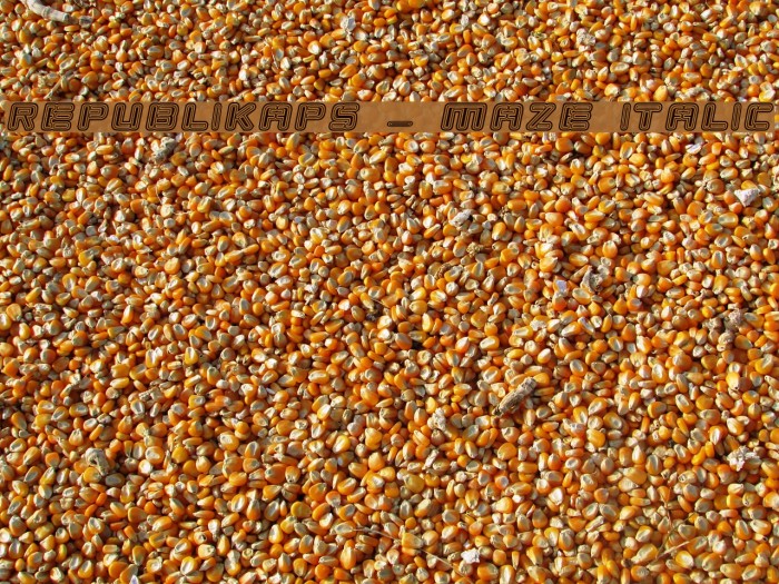 Republikaps - Maze Italic Example 2