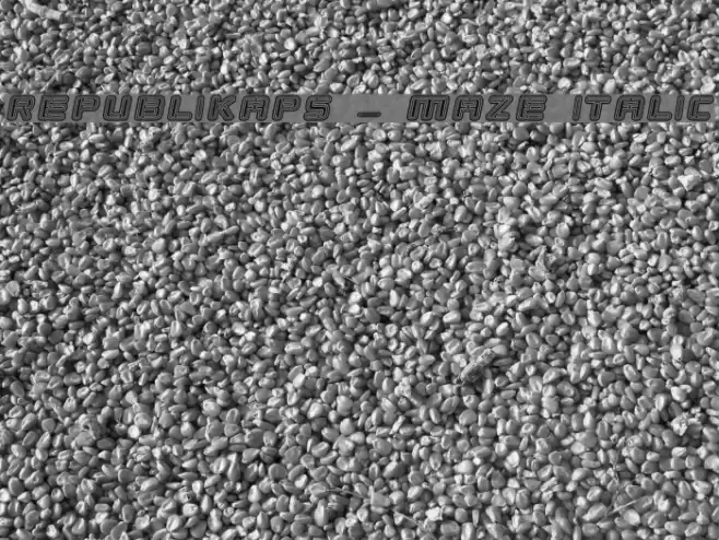 Republikaps - Maze Italic Font examples