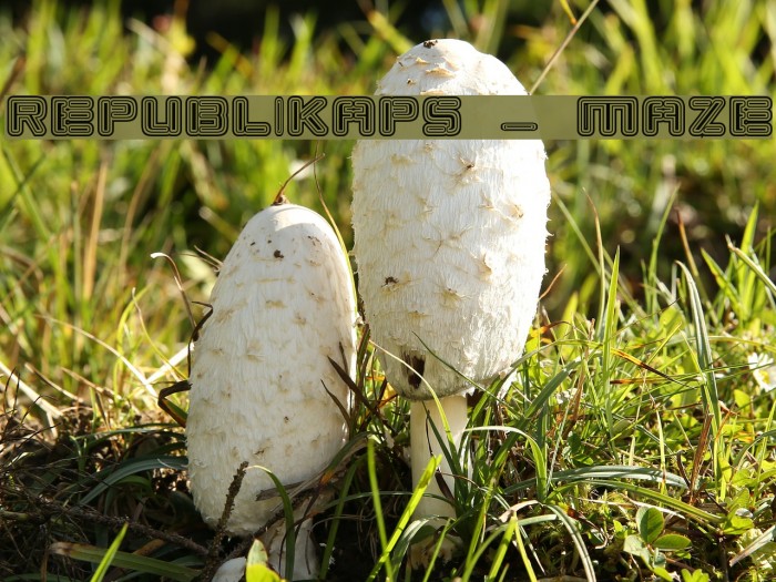 Republikaps - Maze Example 3