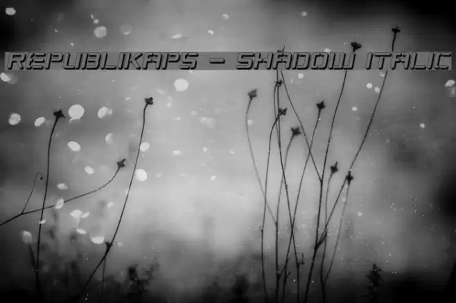 Republikaps - Shadow Italic Font examples