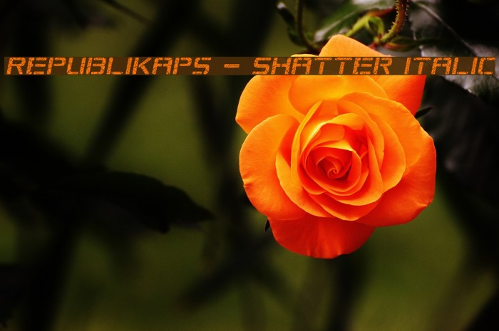 Republikaps - Shatter Italic Font examples