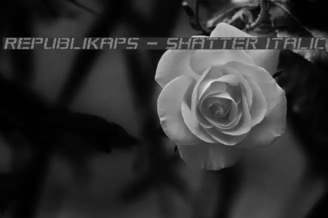 Republikaps - Shatter Italic Font examples
