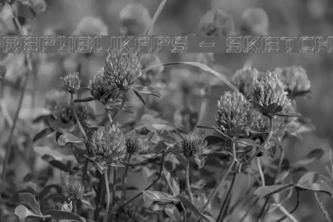 Republikaps - Sketch Font examples