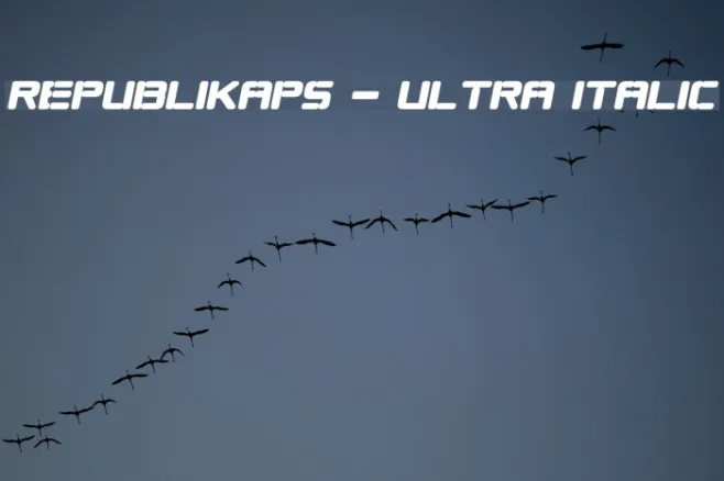 Republikaps - Ultra Italic Example 2