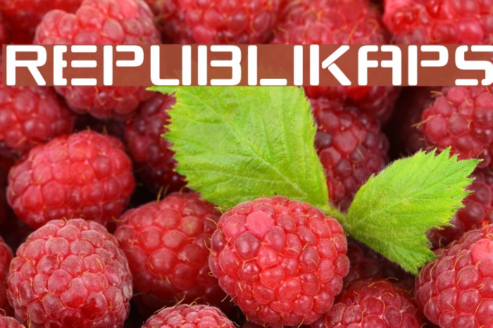 Republikaps Font examples