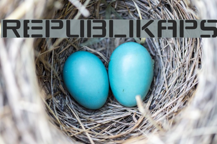 Republikaps Font examples