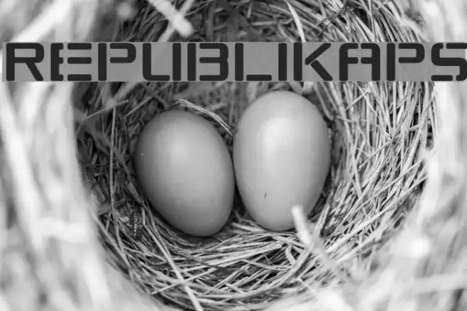 Republikaps Шрифта examples