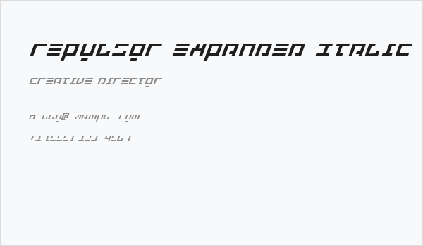 Repulsor Expanded Italic Business Card