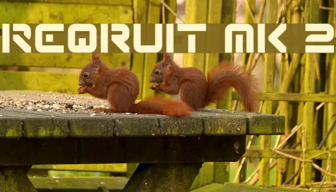 Reqruit Mk 2 Example 1