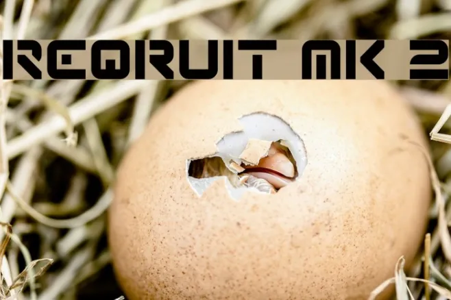 Reqruit Mk 2 Example 3