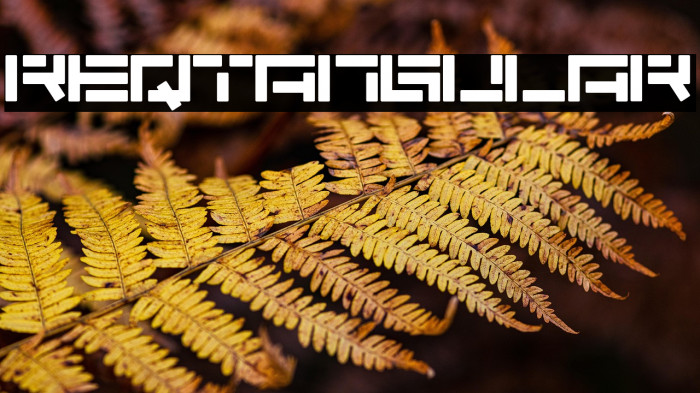 Reqtangular Example 1