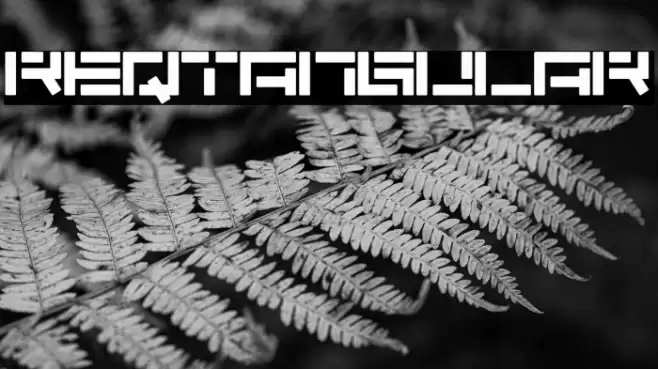Reqtangular Font examples