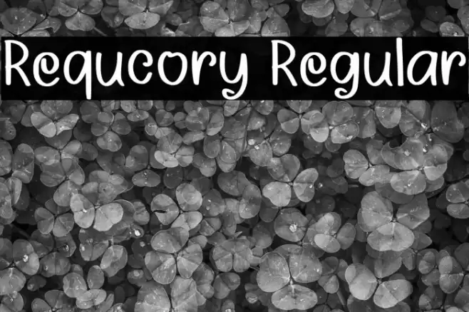 Requcory Regular フォント examples