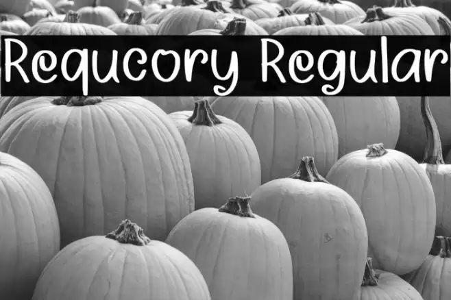 Requcory Regular フォント examples
