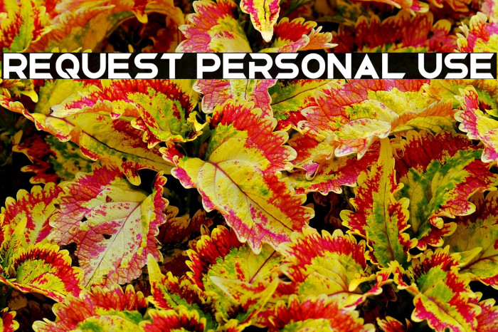 Request Personal Use Example 1