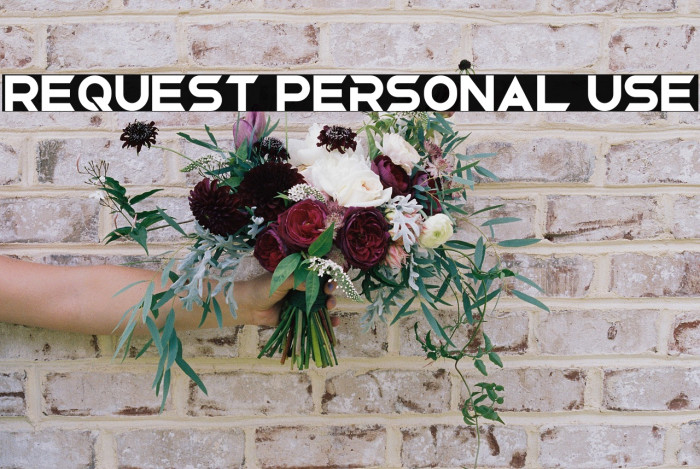 Request Personal Use Example 3