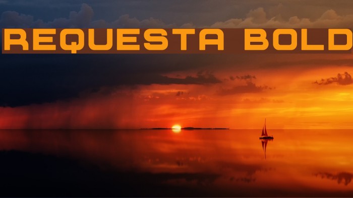 Requesta Bold Example 1