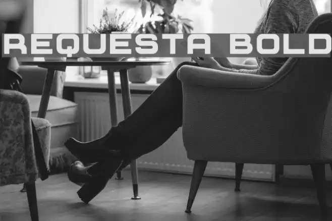 Requesta Bold Font examples