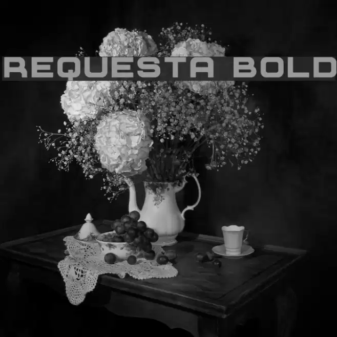 Requesta Bold Font examples