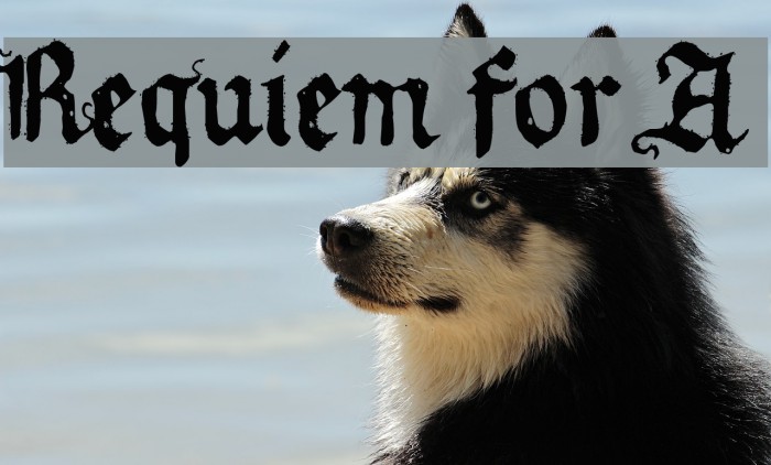Requiem for A Font examples