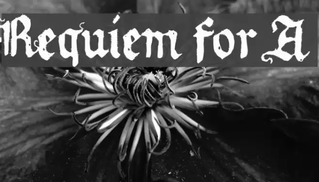 Requiem for A Font examples