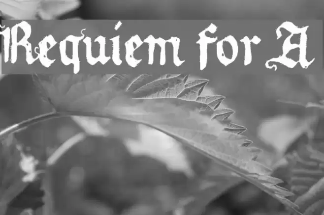 Requiem for A Font examples