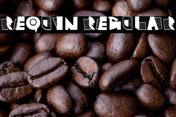 Requin Regular Example 1