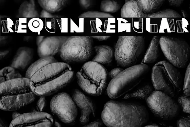 Requin Regular Font examples