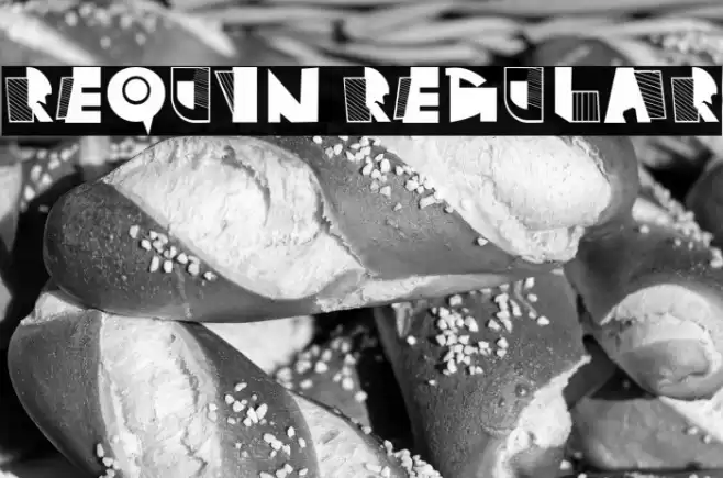 Requin Regular Font examples
