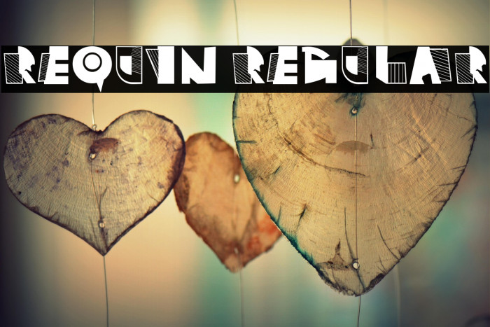 Requin Regular Example 3