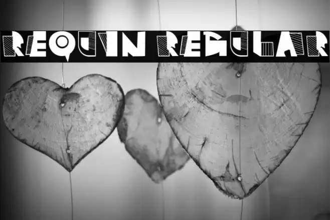 Requin Regular Font examples