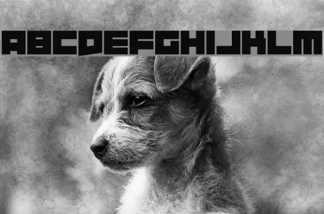 Requires Moonshine Font examples