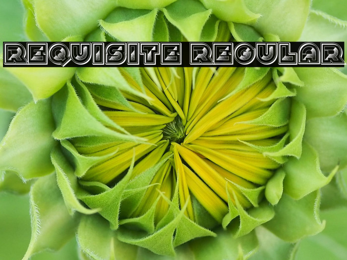 Requisite Regular Example 1