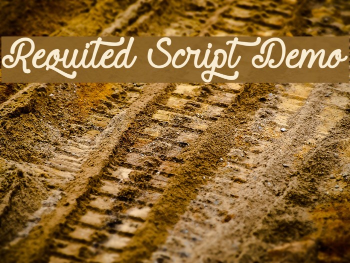 Requited Script Demo Caratteri examples