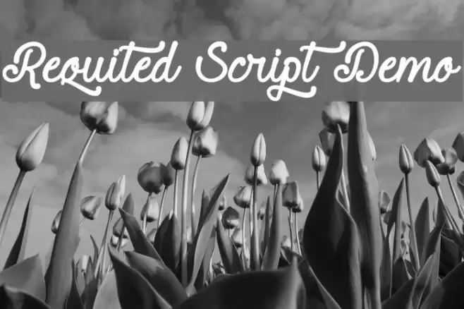 Requited Script Demo Caratteri examples